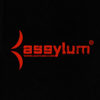 Assylum